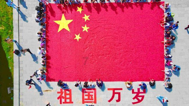 拯救铁笼中的小牛