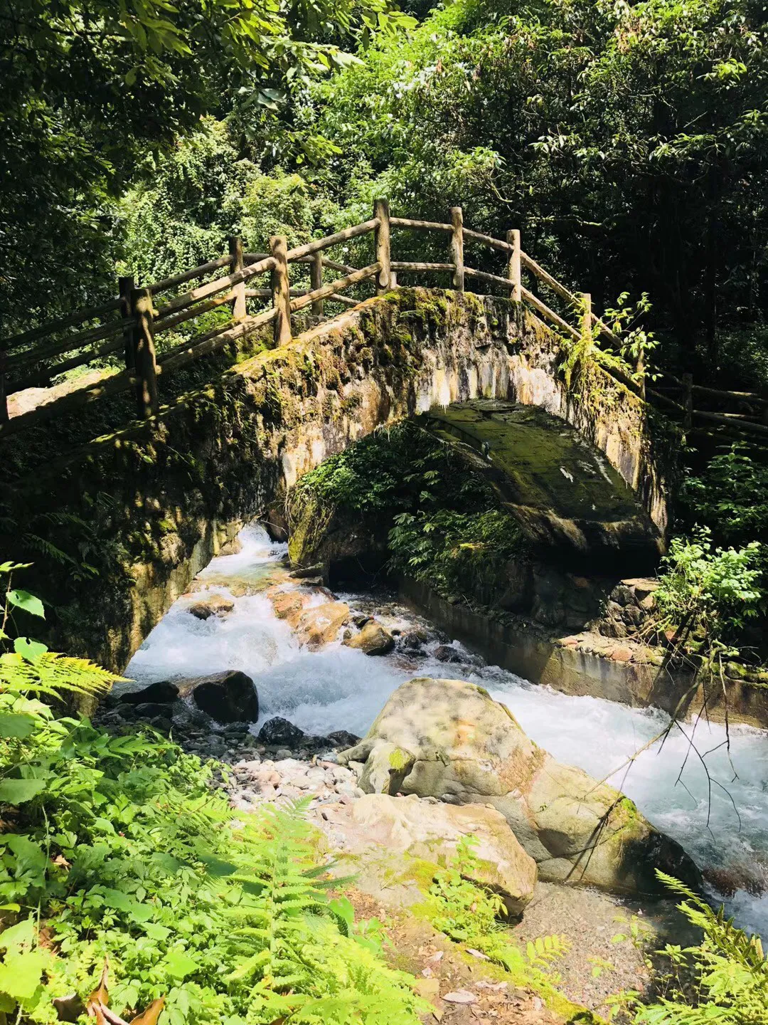 厦门海洋碳汇交易走在全国前列